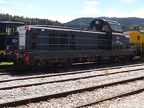 CFTPV V 466503 Hop