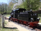 DKBM D 99-3462b Musk