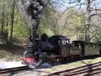 DKBM D 99-3462f Musk