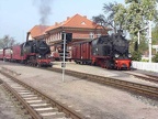 Molli 99 332b Kuehl-W