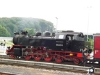 Molli 99 2321c DBR