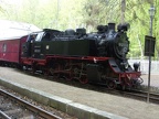 Molli 99 2322g Heil