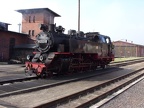 Molli 99 2322b Kuehl-W