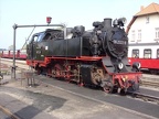 Molli 99 2322c Kuehl-W