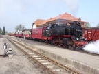 Molli 99 2322e Kuehl-W