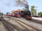 Molli 99 2322f Kuehl-W