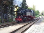 Molli 99 2323 Kuehl-W