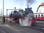 Molli 99 2323b Kuehl-W