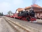 Molli 99 2323c Kuehl-W