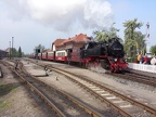 Molli 99 2323d Kuehl-W