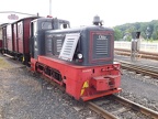 Molli V 199014 DBR