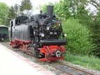 Oechsle 99-716j Wart