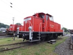 DB-Mus 360303b Mus-KO