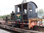DB-Mus 311258b Mus-KO
