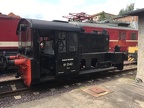 DB-Mus Koe-5142c M-HAL