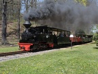 WEM D 99-3312f BadMusk