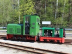 WEM V Koe-0437 Mus