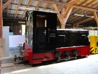 WEM V Koe-0453 Mus