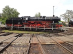 WTB 50-2988p Mus-HN