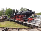 WTB 50-2988q Mus-HN