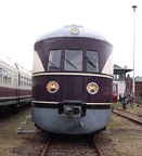 Fv-SVT VT137856a SEM-C
