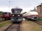 Fv-SVT VT137856e SEM-C
