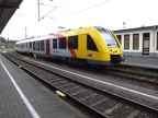 HLB VT504-1 Betz