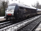 BRLL V 1223-014 Elm