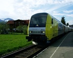 BRLL V 1223-003g Fisch