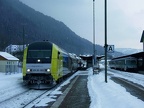 BRLL V 1223-003 Imm