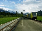 BRLL V 1223-005c Fisch