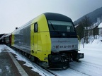 BRLL V 1223-005 Imm