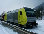BRLL V 1223-005b Imm