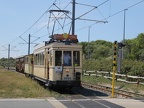 TTO ET 09985g ZwKiezel