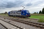WRS Re475902d Kork