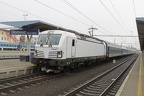 RAILL E 6193687 Olo