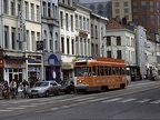 deLijn 7033 Ant-Roos
