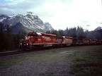 CP V 5823 KicknHorse