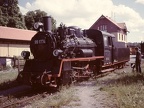 Oechsle 99-1774 Ochs