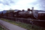 PSSV D 529