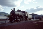 GCR 2-8-0 20 Will