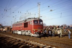 DB-Mus V120274 ARN