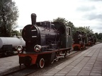 Mus-Gryf D Tyn6-3632