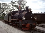 Mus-Gryf D Px48-3916
