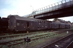 PKP Wg Bhp Wol