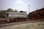 DBG V199033 Mueg