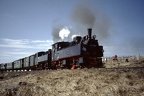 HSB D995901d Brock