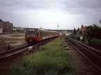 DB 480066 Born