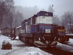 GJW V743002 Tan