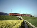 RM ET 24x bLomm